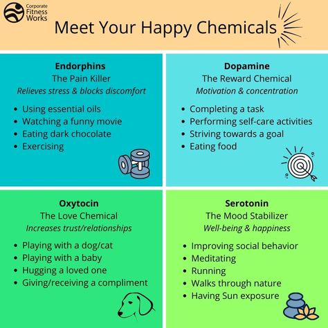 Meet your happy chemicals! Check out these 4 chemicals found naturally in your body that help you feel happy. #teamcfw #cfw #corporatefitnessworks #fitness #happy #chemicals #hormones #happychemicals #seratonin #dopamine #endorphins #oxytocin Happy Chemicals, Mental Health Facts, Trust In Relationships, Happy Hormones, Social Behavior, Mental And Emotional Health, Self Care Activities, Health Facts, Creative Entrepreneurs