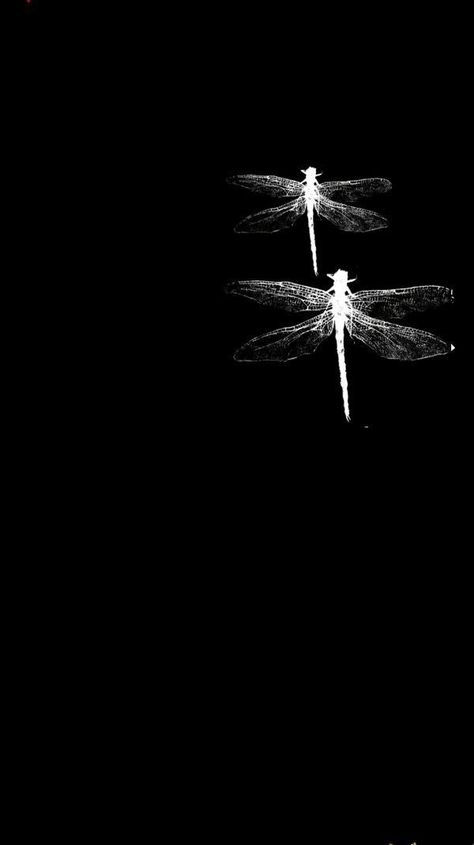 Dragonfly Wallpaper, Art Words, Black Fairy, Dragonfly Art, Iphone Wallpaper Pattern, Dark Light, Ghost In The Shell, Soul Art, Iphone Icon