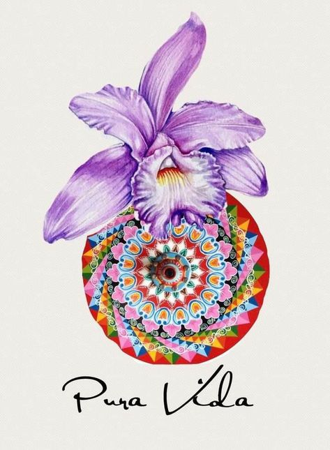 Costa Rica National Flower, Truck Art Pakistan, Costa Rica Art, Costa Rican Food, Phone Craft, Truck Art, Costa Rican, Costa Rica Travel, Scrapbook Printables