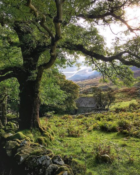 Wales England Countryside, Welsh Landscape Photography, Irish Countryside Cottage, Welsh Countryside Aesthetic, Welsh Forest, Welsh Aesthetic, Wales Countryside, Welsh Valleys, Celtic Aesthetic