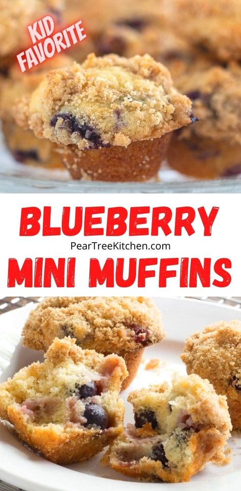 Mini Blueberry Muffins Frozen Blueberries, Easy Mini Blueberry Muffins, Mini Blueberry Muffin Recipe, Blueberry Muffins From Package, Banana Blueberry Mini Muffins, Blueberry Muffins Mini, Mini Blueberry Muffins Healthy, Best Mini Blueberry Muffins, Best Mini Muffin Recipes