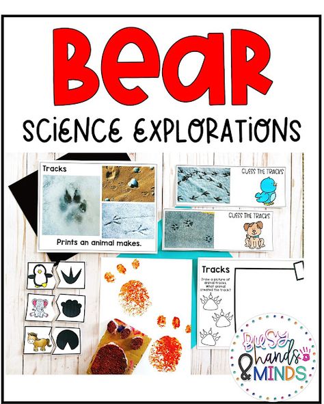 Bear Science Explorations for Preschool Bear Science Activities, Bear Week Preschool, Bear Science Preschool, Bear Activities For Kindergarten, Bear Theme Preschool, Hibernation Preschool Theme, Hibernation Preschool, Bears Preschool, Bear Songs