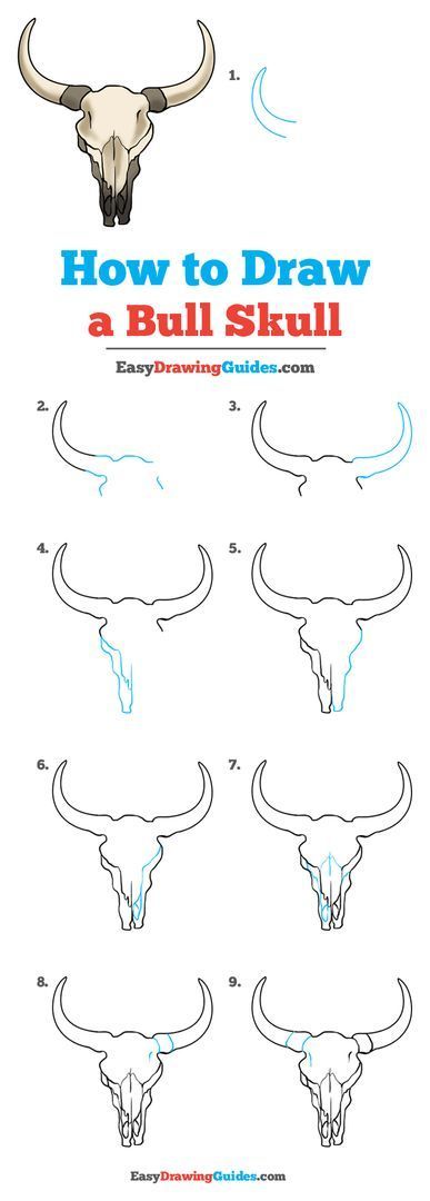 Learn to draw a bull skull. This step-by-step tutorial makes it easy. Kids and beginners alike can now draw a great looking bull skull. How To Draw Tattoos Step By Step, Western Drawings Easy, Surface Drawing, Bull Skull Tattoos, Blending Colored Pencils, Drawing Instructions, Cow Drawing, Longhorn Skull, Drawing Lesson