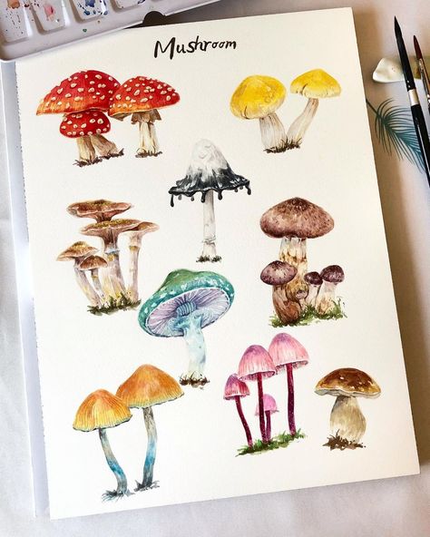 Mushrooms Illustration, Mushroom Amanita, Fungi Illustration, Fungi Art, Watercolor House Painting, Mushroom Paint, Mushroom Drawing, Watercolor Journal, Watercolor Sketchbook