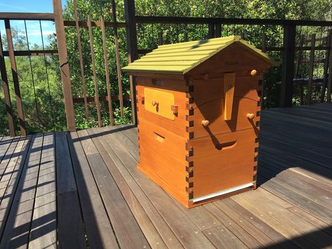 Pine flow hive paint/stain suggestions - Modifications & Building Bee Hives - Flow Forum Stained Cedar, Flow Hive, Bee Hives, Tung Oil, Water Based Paint, Paint Stain, Bee Hive, Exterior Paint, House Painting