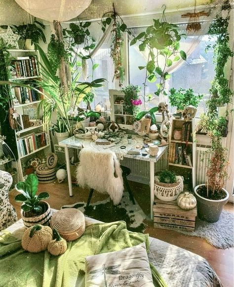 Watering Plants, Bedroom Plants, Room Deco, Cute Bedroom Decor, Dream House Rooms, Cozy Room Decor, House Plants Decor, Dreamy Room, Pretty Room