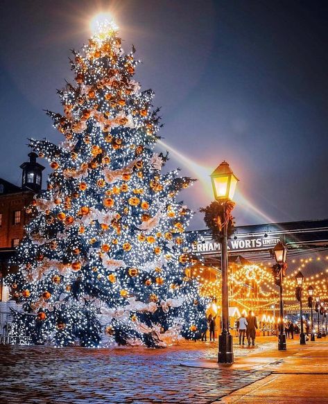 The Toronto Christmas Market 😍🙌🏻✨🎄| 📸@archangeldesign2020 #rhinoCanada #canada #explorecanada #ontario #discoverontario #tdot… Toronto Christmas, Thomas Kinkade Paintings, Kinkade Paintings, Art Gallery Of Ontario, Christmas Place, Winter Nature, Merry Christmas To You, Winter Pictures, Canon Photography