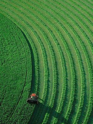 Colour of the month Many shades of Green - September — Suna & Toast - suna & toast Calm Nature, Family Oriented, Prime Colors, Green Field, Green Things, All Things Green, Nature Green, Simple Green, Green With Envy