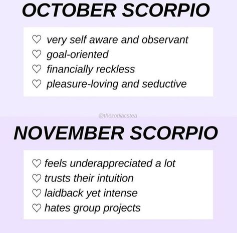 October Scorpio, November Scorpio, Zodiac Mind Scorpio, Scorpio Personality, All About Scorpio, Zodiac Quotes Scorpio, Astrology Scorpio, Zodiac Signs Chart, Scorpio Love