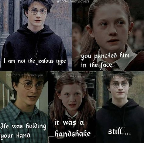 Hinny Memes, Harry Potter Ginny, Funny Harry Potter Jokes, Harry And Ginny, Harry Potter Memes Hilarious, Harry Potter Puns, Harry Potter Images, Harry Potter Headcannons, Harry Pottah