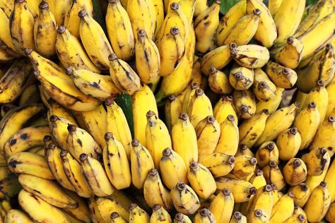 The Gros Michel banana used to be as ubiquitous as its replacement, the Cavendish, is today. Learn why it became practically extinct and the likelihood of the same thing happening to the Cavendish. Banana Uses, Sour Fruit, Fruits Photos, Banana Plants, Ripe Fruit, Banana Tree, Food Science, Delicious Fruit, Eating Raw