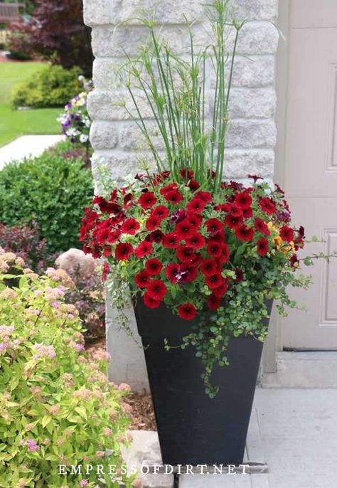 Give the front of your house a boost with these planter ideas. With photos from home gardens, there are lots of inexpensive ways to add colorful container plants including window boxes. Front Porch Flower Pots, Front Porch Flowers, Summer Planter, Porch Plants, Tanaman Pot, Patio Flowers, Porch Flowers, Front Gardens, Container Garden Design