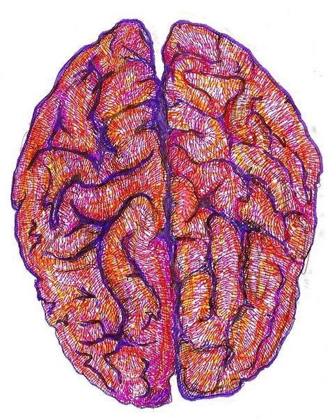 brain pen drawing Human Brain Drawing, Stitches Medical, Neuroscience Art, Brain Drawing, Textiles Sketchbook, A Level Art Sketchbook, Brain Art, Brain Scan, Over The Edge