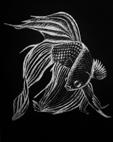 My first Scratchboard 5" x 7" Scratchboard Art Ideas Easy, Scratchboard Art Easy, White Drawing On Black Paper, Scratch Art Ideas Easy, Scratch Board Ideas, Scratch Art Ideas, Scratchboard Art Ideas, Scratch Board Art, Art On Black Paper