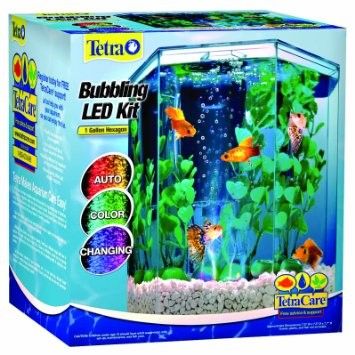 Hexagon Aquarium, Axolotl Tank, Small Fish Tanks, Led Aquarium, Betta Tank, Betta Fish Tank, Beta Fish, Small Shelf, Fish Supplies