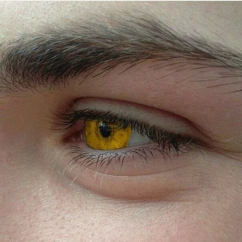 Gold Eyes Aesthetic, Yellow Eyes Aesthetic, Seth Capella, Chica Dark, Amber Eyes, Zodiac Academy, Twilight Book, Golden Eyes, Male Eyes