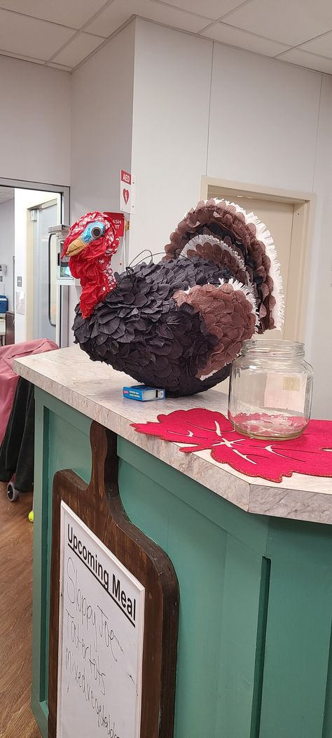 Turkey Pinata, Frozen, Quick Saves