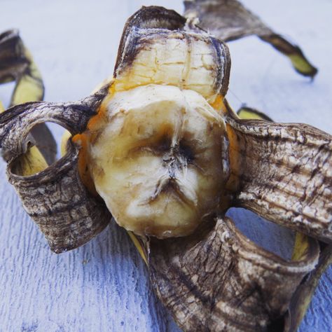 Bad Looking Food, Rotting Fruit Photography, Rotting Food Art, Decaying Fruit Art, Decaying Fruit, Rotten Banana, Rotting Fruit, Rotting Food, Rotten Food