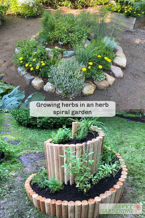 Herb Spiral Garden, Backyard Herb Garden, Herb Spiral, Easy Herbs To Grow, Spiral Garden, Witchy Garden, Outdoor Herb Garden, Tattoo Plant, Medicinal Herbs Garden