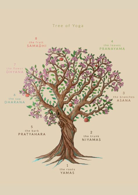 Limbs Of Yoga, Eight Limbs Of Yoga, 8 Limbs Of Yoga, Bks Iyengar, Yoga Tree, Book Tree, Yoga Program, Lotus Yoga, Joy And Peace