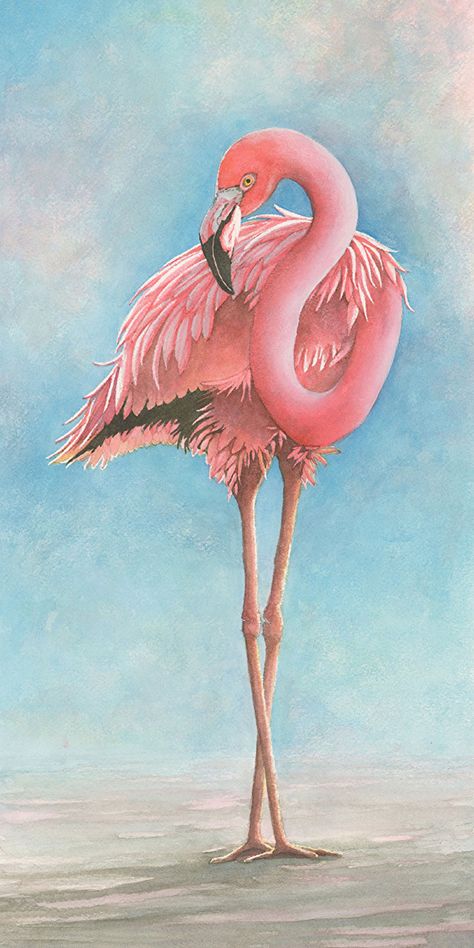 Flamingos Art Illustration, Paint Flamingo, Flamingo Bingo, Personified Animals, Beauty Papers, Flamingo Artwork, Flamingo Pictures, Flamingo Illustration, Flamingo Art Print