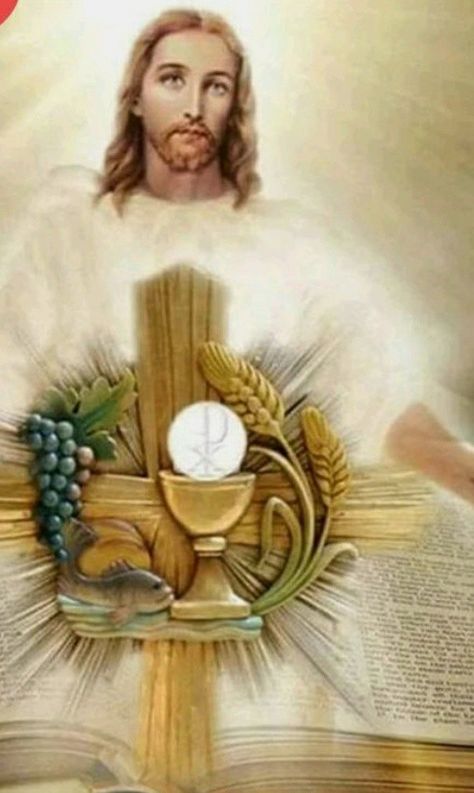 Eucharistic Adoration, Catholic Pictures, Jesus Photo, Ayat Alkitab, Pictures Of Jesus Christ, Jesus Christ Images, Divine Mercy, Jesus Images, Diamond Embroidery