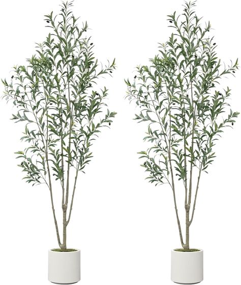 Amazon.com: ROOMTEC 2Pack Artificial Olive Tree 7feet, Faux Olive Tree with White Planter and Fake Moss, Olive Trees Artificial Indoor, Potted Plants Artificial Decor Realistic Trunk and Leaves for Home(2, 7 FT) : Home & Kitchen Indoor Potted Plants, Fake Moss, Artificial Olive Tree, Faux Olive Tree, White Planters, Artificial Trees, Olive Trees, Olive Tree, Realism