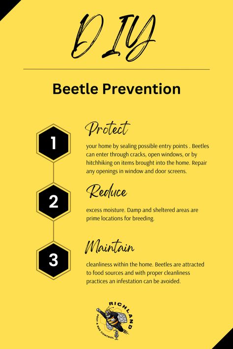 Beetles can damage wood, fabrics, carpets, and stored food items, leading to costly repairs or replacements. Signs of a beetle infestation include visible beetles, larvae, or eggs, damaged materials (wood, fabric, or food), and fecal pellets. Follow these steps to prevent a beetle infestation in your home! Beetle Larvae, Bug Infestation, Bed Bug, Pest Control Services, Bed Bugs, Open Window, Protecting Your Home, Diy Bed, Beetles