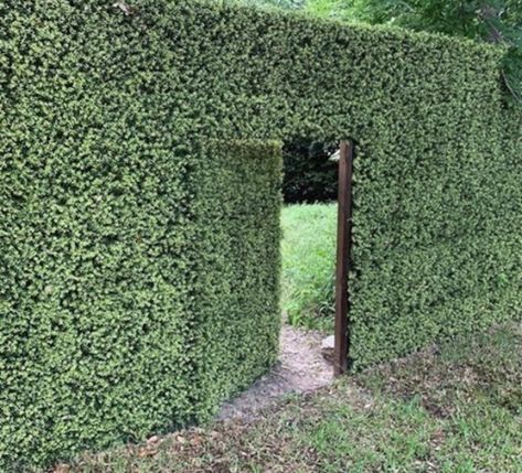 Secret Garden Ideas Hiding Places, Backyard Secret Garden, Secret Garden Ideas, Hidden Door Ideas, Garden Ideas Backyard, Underground Home, Secret Rooms In Houses, Secret Doors, Man Bathroom