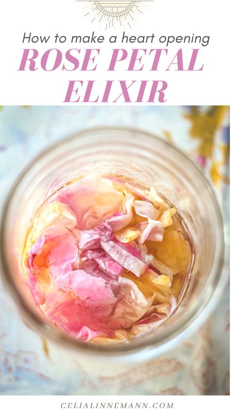 Rose Tea Recipe, Elixer Recipes, Calming Food, Elixir Recipe, Liquor Recipes, Herbal Elixir, Herbal Recipes, Herbal Tinctures, Herbal Apothecary