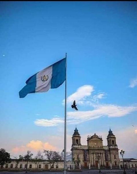 Guatemala Flag Aesthetic, Guatemala Aesthetic Wallpaper, Guatemala Flag, Emoji Wallpaper Iphone, Bad Girl Wallpaper, Guatemala Travel, Guatemala City, Emoji Wallpaper, Aesthetic Images