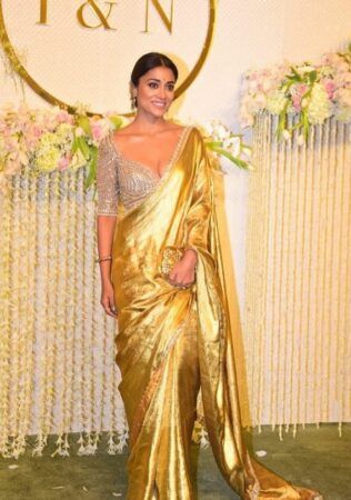 These five images of Shriya Saran are sure to make you swoon Sarees For Mothers, Brides Mother Indian Outfit, Engagement Saree Look, Engagement Dress For Groom, South Indian Wedding Saree, Engagement Saree, Mom Wedding Dress, Saree Ideas, Relationship Timeline