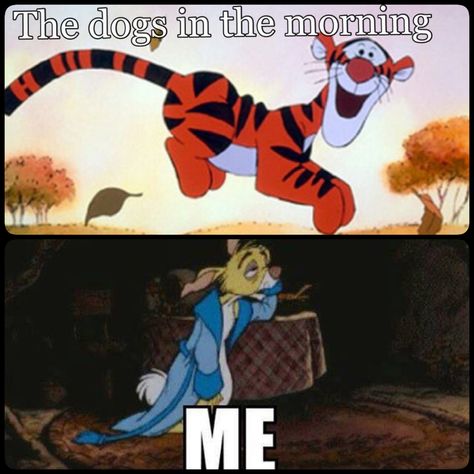 True!! Tigger/Rabbit Laugh A Lot, Game Pictures, Disney Memes, Awkward Moments, Disney Funny, What’s Going On, Pics Art, Best Funny Pictures, A Train