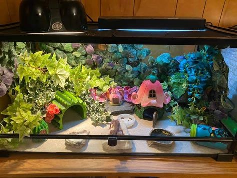 Snake Tank Decor Ideas, Cute Snake Tank Ideas, Bearded Dragon Terrarium Decor, Bearded Dragon Decor Ideas, Leopard Gecko Vivarium Ideas, Cute Snake Enclosure, Lizard Terrarium Ideas, Leopard Gecko Tank Setup Ideas, African Fat Tailed Gecko Enclosure