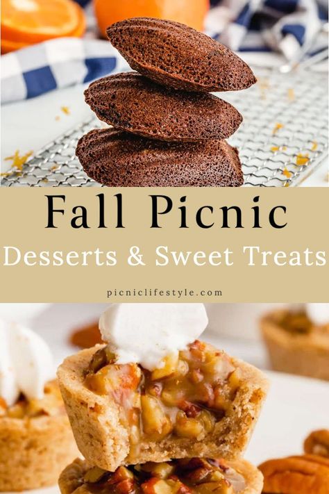 These fall picnic desserts and sweet treats are perfect for your next fall picnic. We've rounded up simple, healthy (& not so healthy) seasonal picnic sweets to celebrate the harvest season. #falldesserts #fallpicnic #picnicdesserts #fallpicnicideas Desserts For A Picnic, Picnic Dessert Recipes, Fall Picnic Food, Fall Finger Foods, Picnic Dessert, Apple Slice Recipe, Portable Dessert, Picnic Desserts, Sweet Potato Muffins