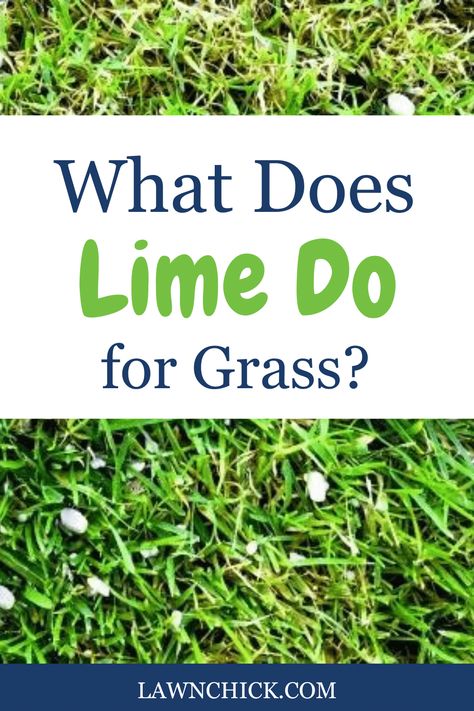 One of the best ideas for beautifying your lawn is improving the soil. Lime is a popular soil amendment for adjusting acidic soil. Is it appropriate for your lawn? That's the question we answer in detail in this detailed blog post. We'll go through all the reasons you might want to add lime to your lawn and in what circumstances you shouldn't add it. Plus, we'll reveal exactly what kind of lime you should get to use on your turfgrass. Lime For Lawns, Lime Uses, Acidic Soil, Soil Ph, Sandy Soil, Soil Health, No Rain, Green Lawn, The Soil