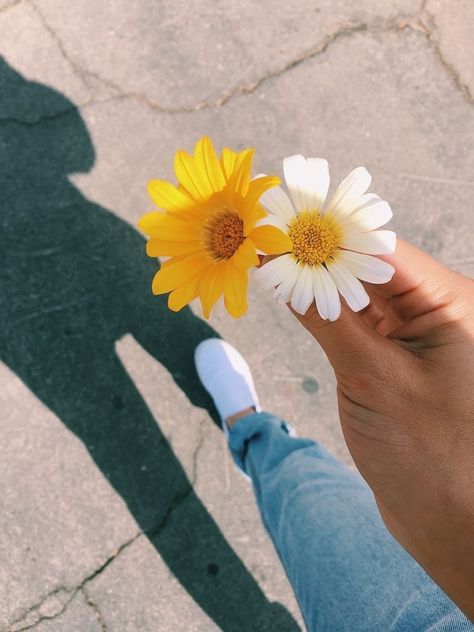 ✰ pinterest @jjuliakimm ✰ Artsy Pictures, Second Account, Sunflower Wallpaper, Profile Pictures Instagram, Tumblr Photography, Wallpapers Iphone, Yellow Aesthetic, Tumblr Wallpaper, Quotes Love