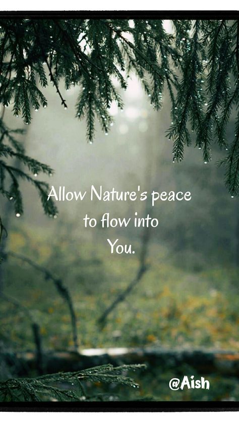 #Peace #SaveNature Forest Bathing Quotes, Beautiful Weather Quotes, Scenery Quotes, Love Nature Quotes, Nature Quotes Beautiful, Peace Pictures, Nature Quotes Inspirational, Environment Quotes, Hindi Thoughts