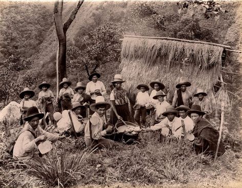 Las inéditas y extraordinarias fotos francesas que revelan la Colombia del siglo XIX - BBC News Mundo Bbc News, Uk News, No Se, Bbc, Concert, History, Film, Photographer, Best Deals