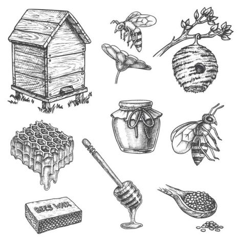 Honeycombs Drawings, Honey Illustration, Bee Sketch, Sketch Icon, Bee Illustration, Honey Dipper, Vintage Bee, Engraving Illustration, Bee Tattoo