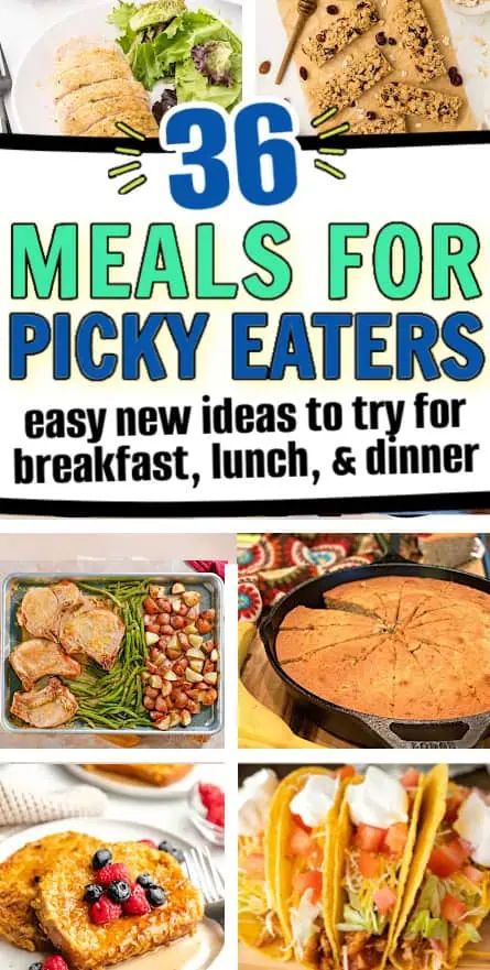 kid friendly meal ideas for picky eaters Breakfast Meal Prep For Picky Eaters, Family Dinner Picky Eaters, Healthy Recipes For Picky Eaters Kids, Picky Eater Freezer Meals, Kid Lunches For Picky Eaters, Picky Eater Adult Meals, Healthy Meals For Kids Picky Eaters, Low Carb Meals For Picky Eaters, Kids Lunch Ideas For Home Picky Eaters