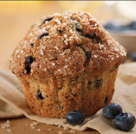 Dunkin Donuts Blueberry Muffin Recipe, Duncan Donuts, Blueberry Muffin Mix, Blueberry Muffin Recipe, Blueberry Muffins Recipe, Muffin Flavors, Blueberry Donuts, Donut Muffins, Muffin Recipes Blueberry