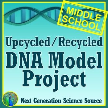 Fun, fresh approach to building a DNA model - the results are quite diverse and interesting!Related NGSS Standards: MS-LS3-1, HS-LS3-1, HS-LS3-2, HS-LS3-3This resource gives students clear and concise directions to build a DNA model out of upcycled or recycled "stuff". The straightforward directio... Dna Transcription And Translation, Dna Model Project, Dna Activities, Dna Project, Recycled Stuff, Middle School Boys, Transcription And Translation, Middle School Science Teacher, Activity Worksheet