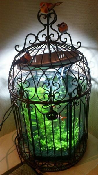 Useful Tips for Successful Interior Decorating with Aquariums Tiny Fish Aquarium, Fish Inside A Birdcage, Antique Aquarium, Tiny Aquarium, Bettafish Aquarium, Amazing Aquariums, Cool Fish Tanks, Tropical Fish Tanks, Heavy Breathing