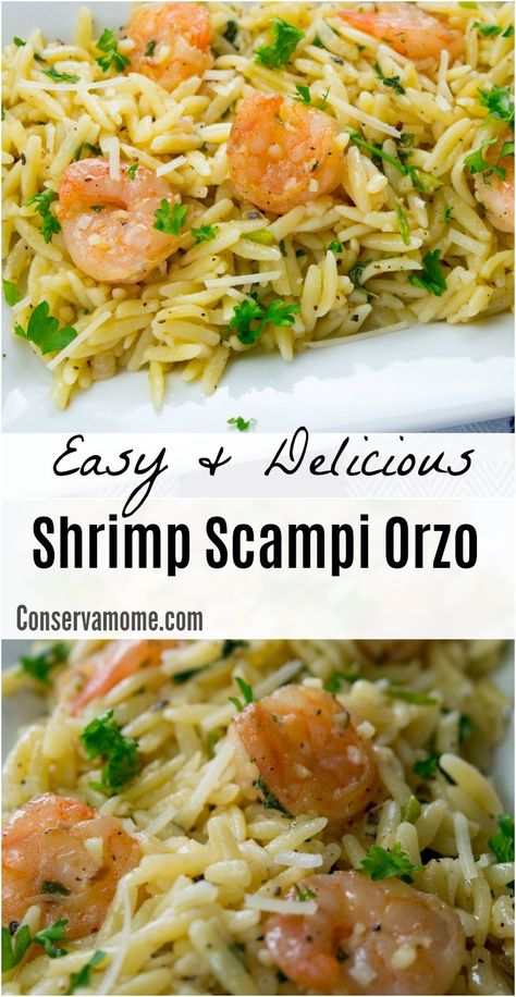 This Easy and Delicious Shrimp Scampi Orzo will be a huge hit at any meal. Check out how tasty this recipe can be! Shrimp Orzo, Baked Shrimp Recipes, Easy Shrimp Scampi, Shrimp Scampi Recipe, Orzo Recipes, Scampi Recipe, Shrimp Dinner, Shrimp Recipes Easy, Shrimp Dishes