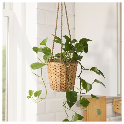 FRIDFULL hanging planter, water hyacinth, 4 ¾ ". Decorate your home with beautiful objects from nature. This plant pot is handwoven from water hyacinth that is harvested to help keep tropical waterways free and maintain the natural flow of water. Pot: Water hyacinth. Hanging Fake Plants Indoor Bedroom, Hanging Plant Nursery, Fake Hanging Plants Bedroom, Hanging Plant Bedroom, Hanging Plants Living Room, Plant Hanger Window, Ikea Hanging Planter, Hanging Plants Decor, Hanging House Plants