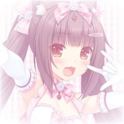 Chocola Nekopara, Cutecore Pfp, No Credit, Not Mine, Coconut, Anime