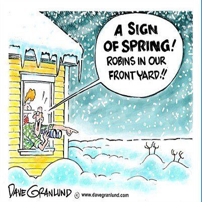 Poor Little Robins.... Spring Humor, Spring Jokes, Winter Humor, Snow Humor, Spring Snow, Funny Cartoons Jokes, Spring Pictures, Cabin Fever, Spring Sign