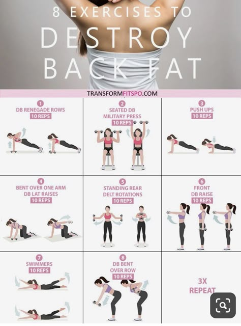 Exercise Bras, Core Exercises For Women, Survival Videos, Workout Gym Routine, Back Fat Workout, Exercises For Women, Workout Routines For Beginners, Summer Body Workouts, Core Exercises