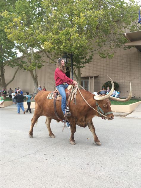 Legendary Longhorns . Cowgirl riding a broke steer Riding A Cow, Cow Riding, Homesteading Animals, Horse Quotes Funny, Country Girl Life, Bull Cow, Western Horse Tack, Animals Amazing, Bull Riding